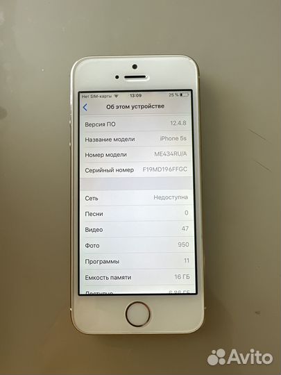 iPhone 5s