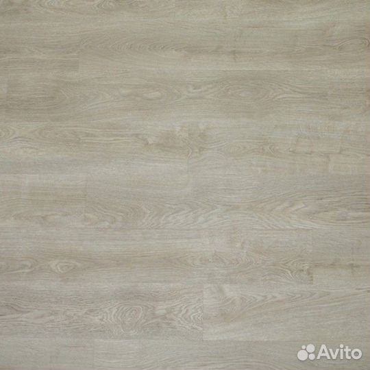 FF-1979 Дуб малага 43 класс