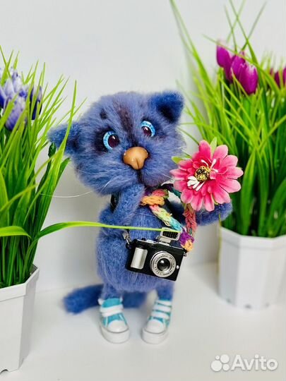 Малыш в кедах 