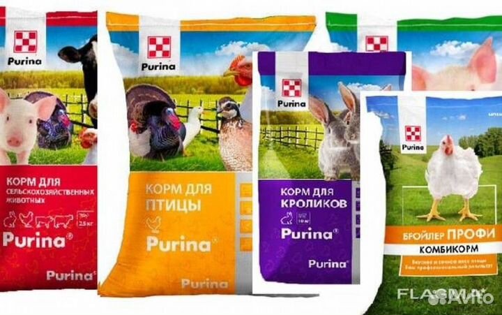 Корма для животных