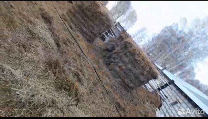 Продам сено,солому