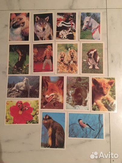 Карманные календари1990 год