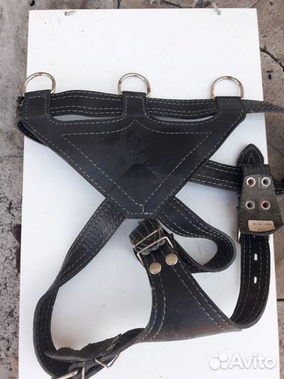 Кожаный ошейник-упряжка