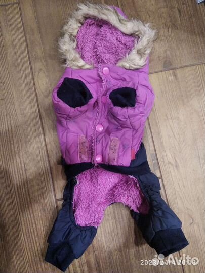 Одежда (комбинезон) для мелких собак