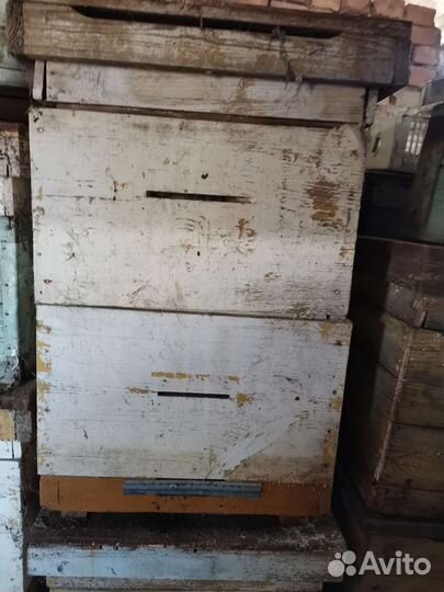 Ульи для пчел бу