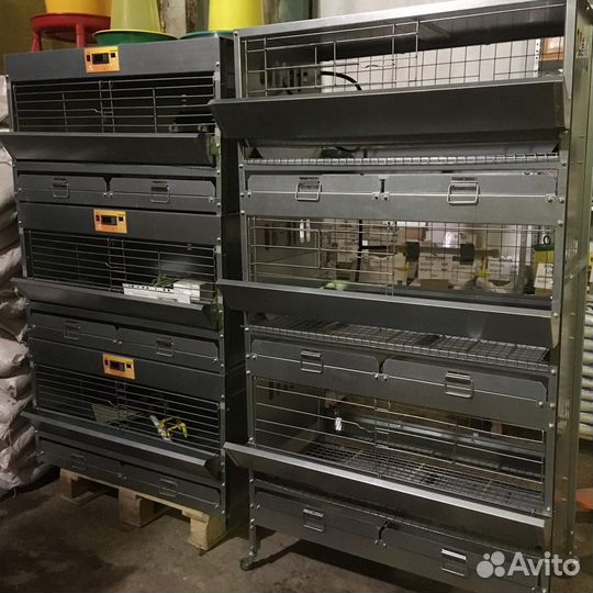 Клетка для бройлеров