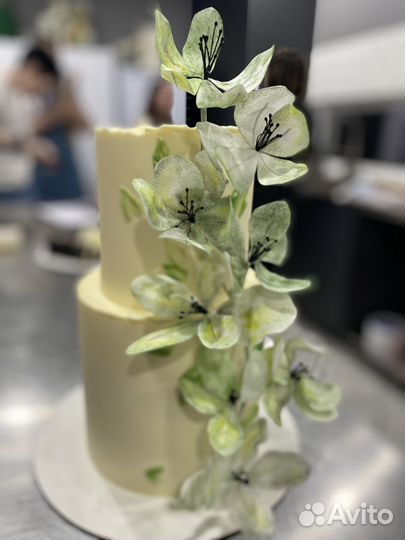 Бенто торты, торты, меренговый рулет