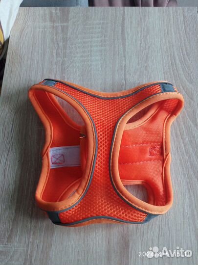 Шлейка для собаки светоотражающая с поводком