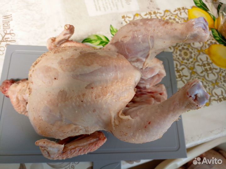 Мясо домашнего бройлера