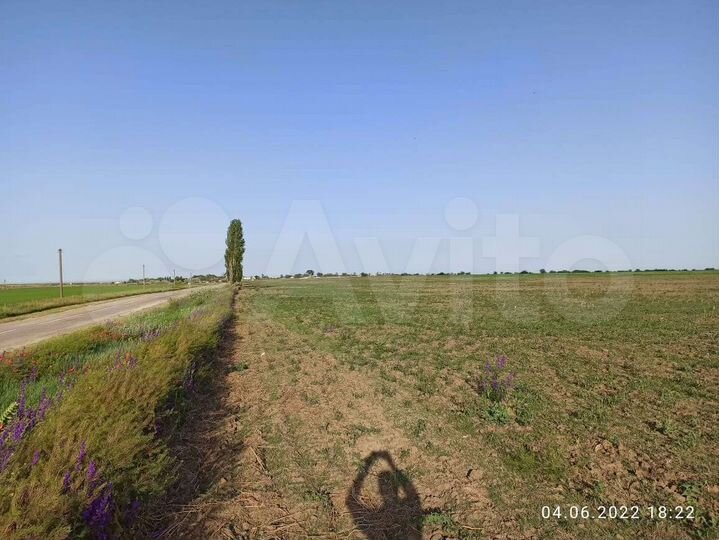 Участок 24,25 га (СНТ, ДНП)