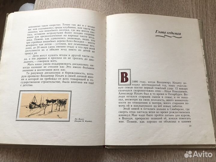 Детские и школьные годы Ильича