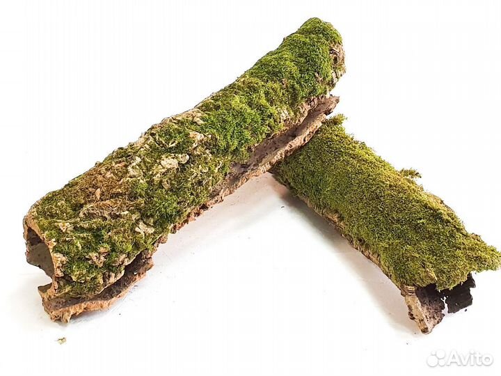 Пробковые цилиндры для террариума