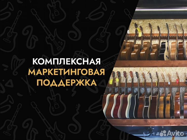 Музыкальный магазин франшиза