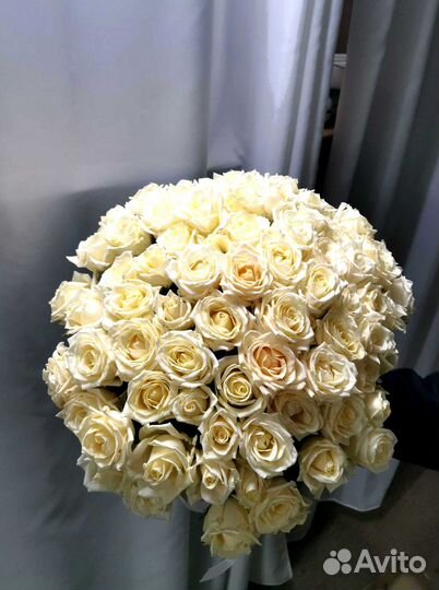 Розы с доставкой, букет роз 101 шт
