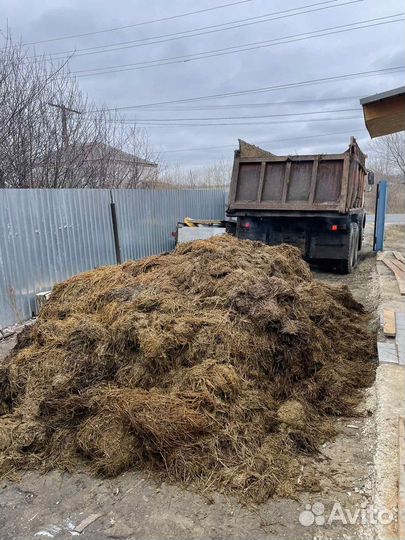 Перегной, навоз