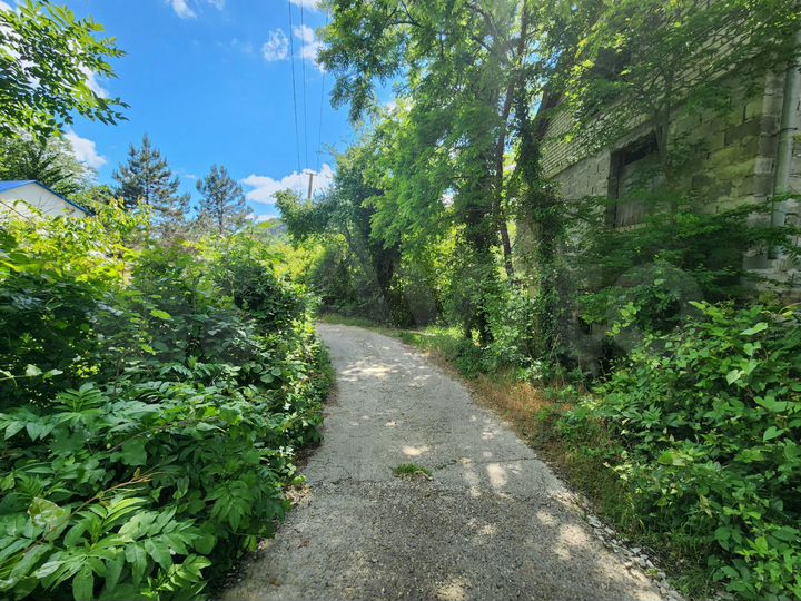 Участок 5,5 сот. (СНТ, ДНП)