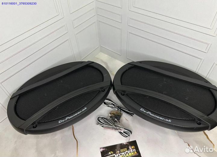 Автоколонки Pioneer TS-A6995 1800W 15x23 см