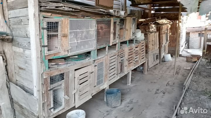 Клетка для кролика