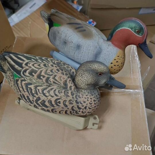 Чучела чирков GHG