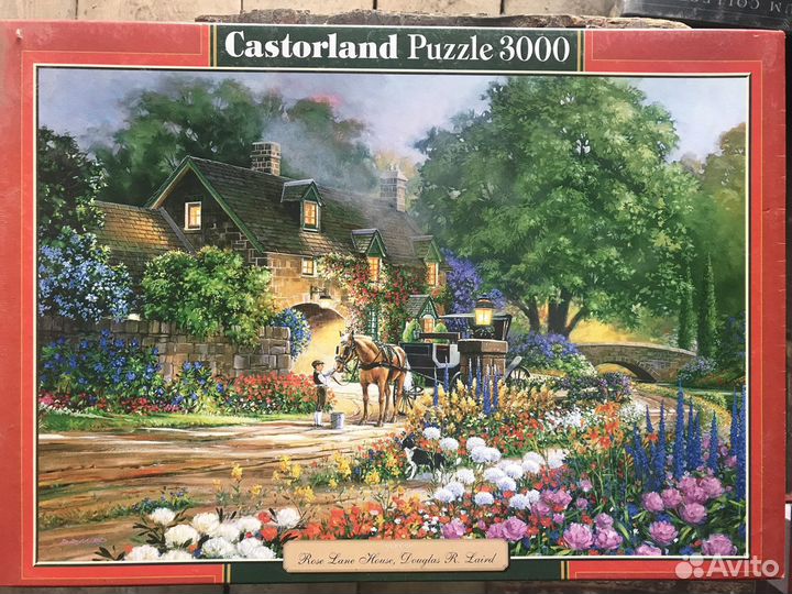 Пазл 3000