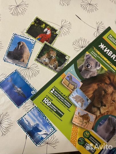 Наклейки живая планета пуд