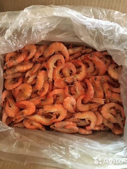 Продажа креветок