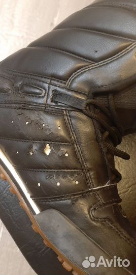 Сноубордические ботинки Northwave