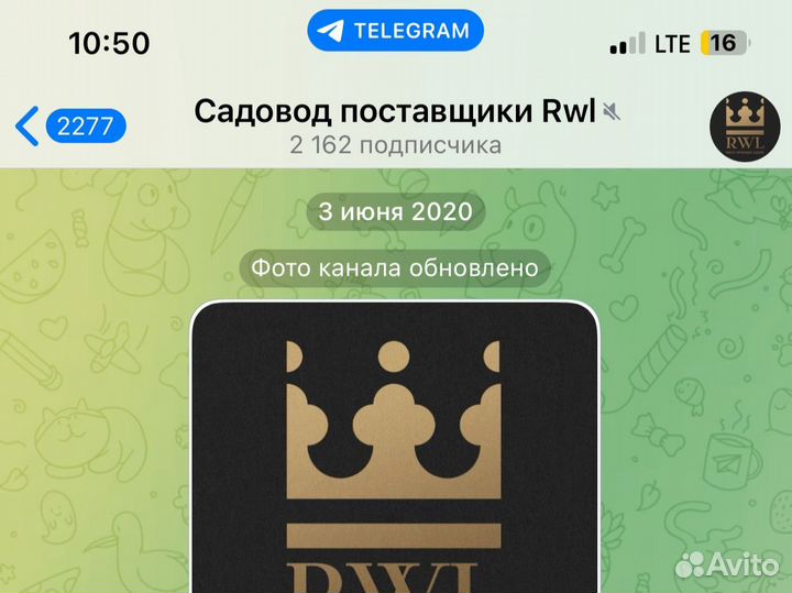 Канал Телеграмм одежда Садовод 2020г