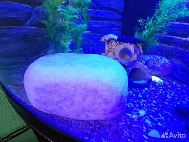 Грунт камни для аквариума