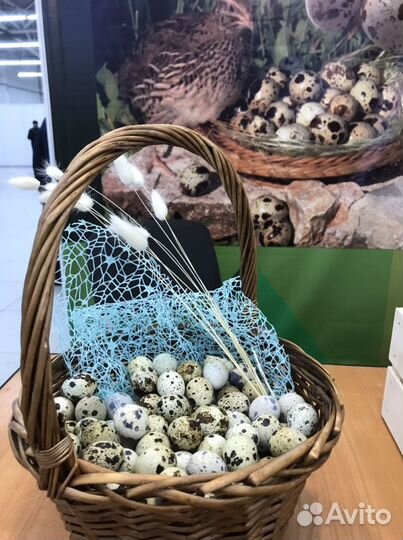 Яйцо перепелиное отборное в упаковке 20 штук