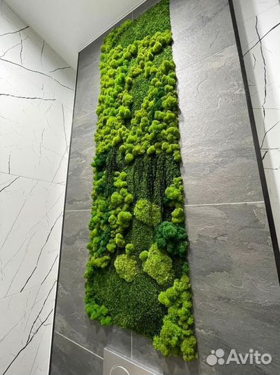 Стабилизированный мох в Краснодаре