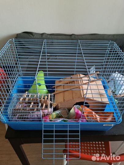 Клетка для грызунов