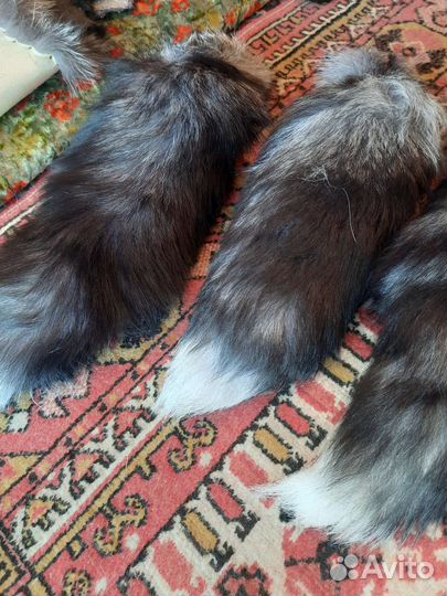 Хвосты чернобурки