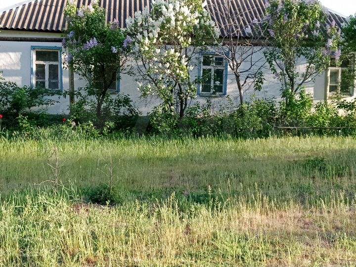 Дом 50 м² на участке 20 сот.