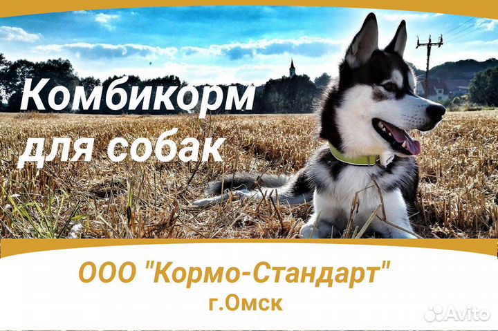 Комбикорм для собак 10 кг