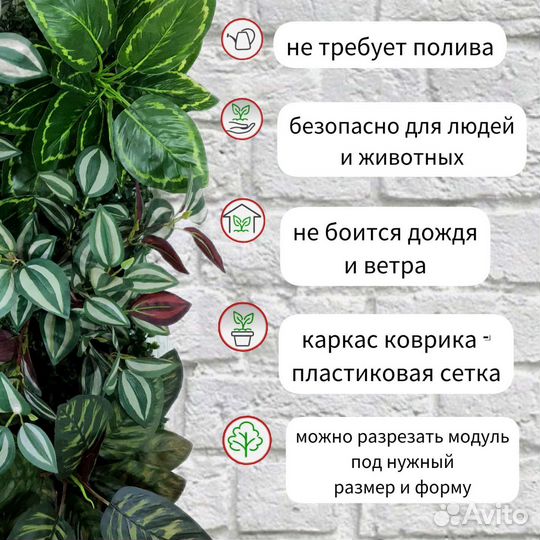 Фитокартина, фитостена, вертикальное озеленение