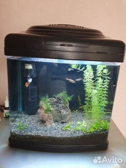 Аквариум