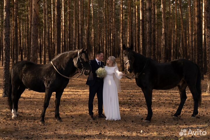 Свадебный фотограф