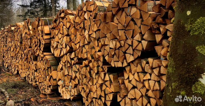 Березовые дрова