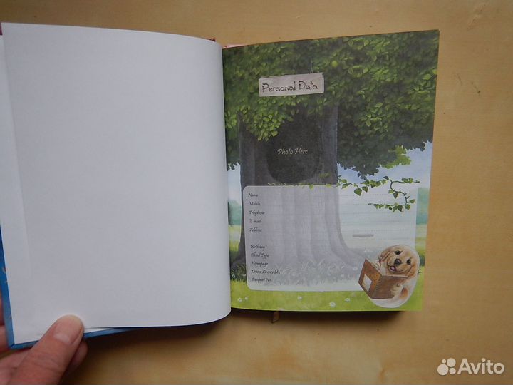 Блокнот для девочки Henry Cats