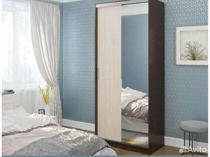 Шкаф-купе Альянс 1