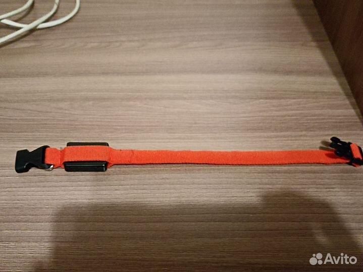 Ошейник для маленькой собаки