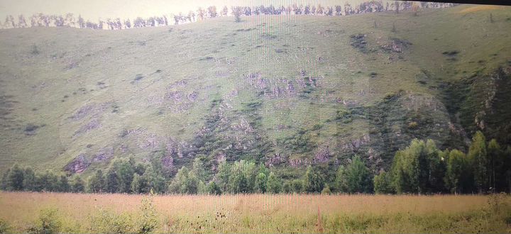 Участок 100 сот. (СНТ, ДНП)