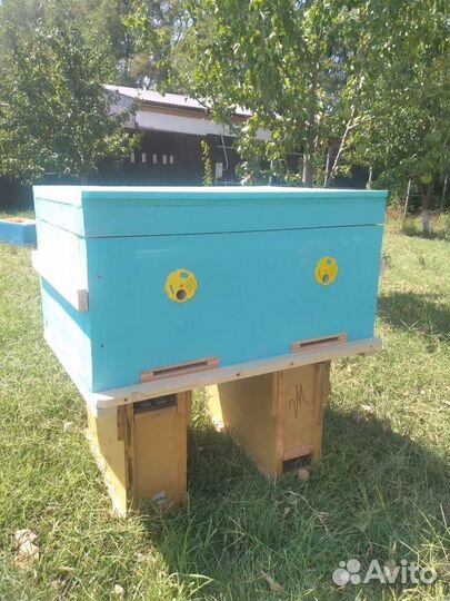 Улей лежак ппс