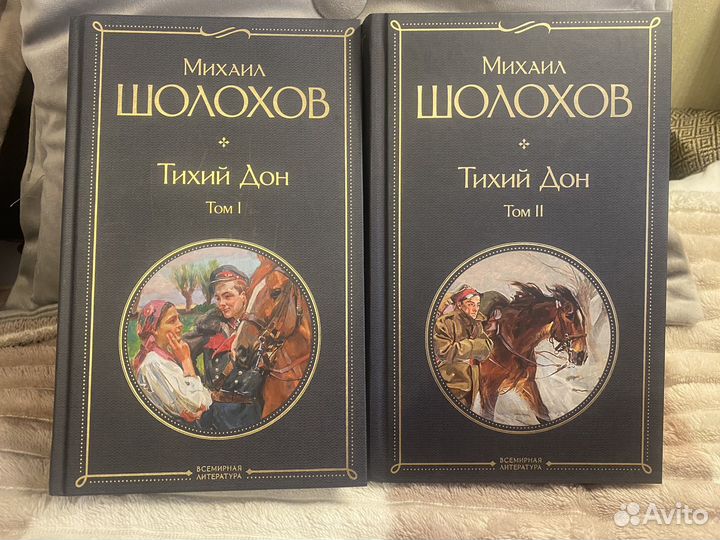 Тихий дон М.Шолохов