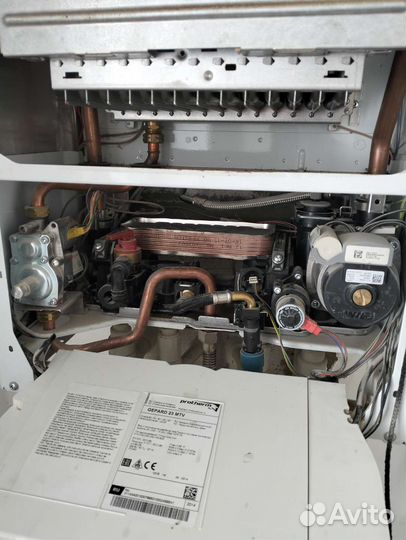 Газовый котел протерм гепард 24v