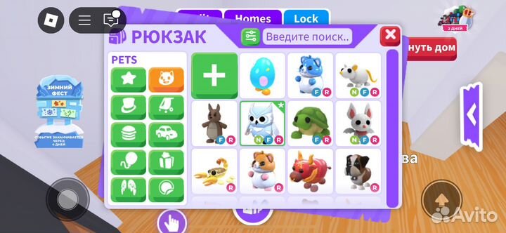 Петы адопт ми