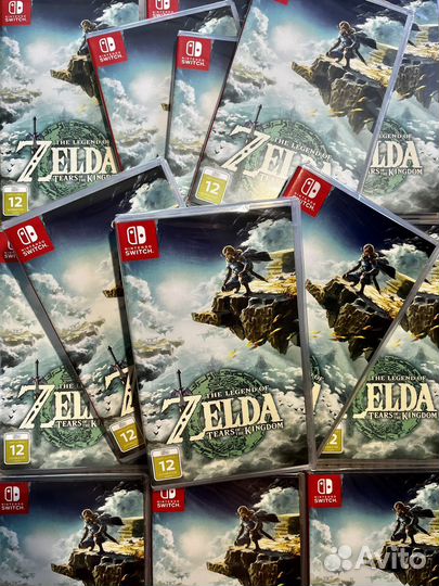 The Legend of Zelda: Tears of Kingdom ns