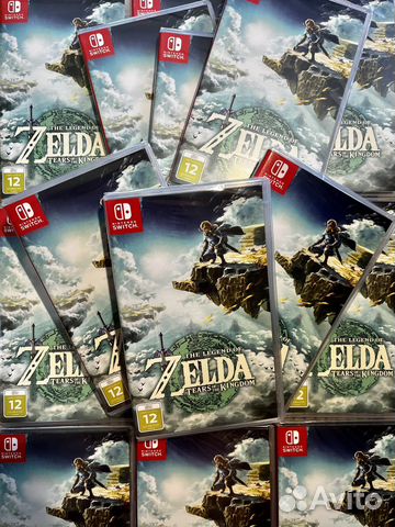 The Legend of Zelda: Tears of Kingdom ns