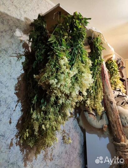 Лекарственные травы